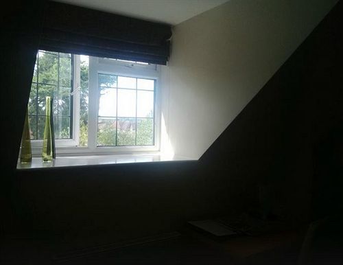 Springfields Bed & Breakfast Horsham Dış mekan fotoğraf